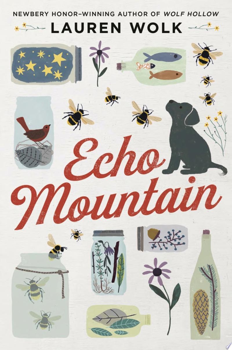 Image for "Echo Mountain"