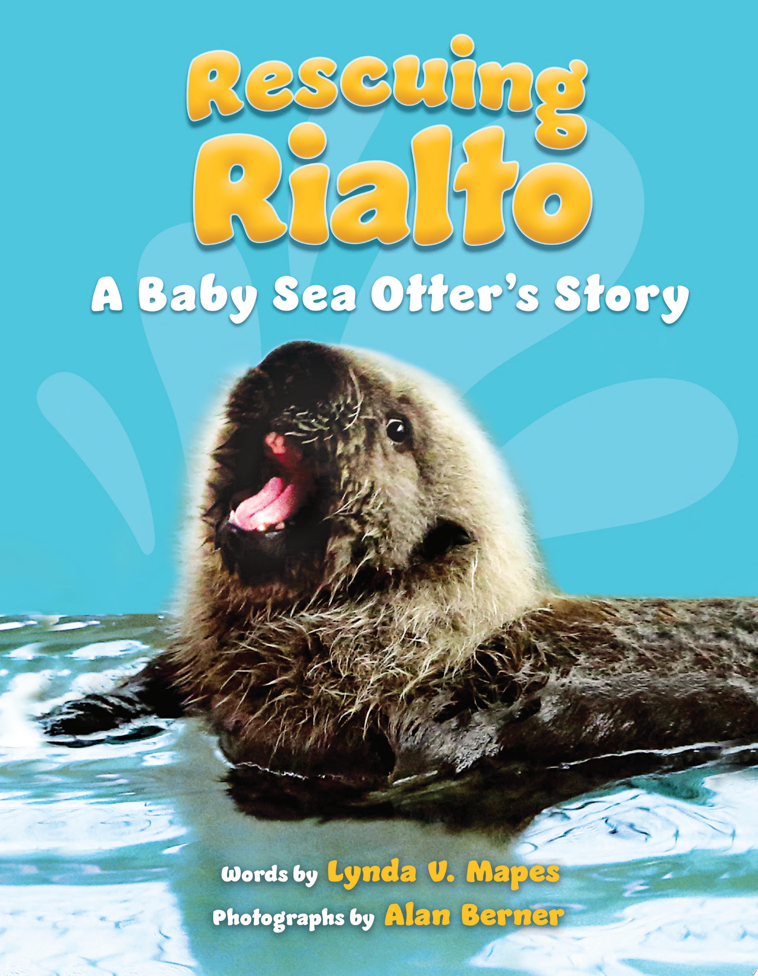 Image for "Rescuing Rialto: A Baby Sea Otter's Story"