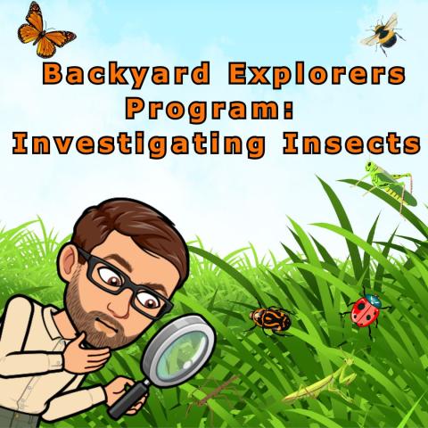 Backyard Explorers: Investigating Insects