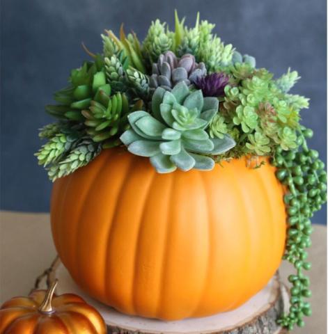 A pumpkin being used as a planter for fake succulants. 